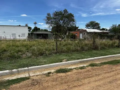 Queirolo