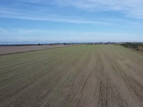 VENTA/CAMPO AGRICOLA/SUELO 1/RAFAELA