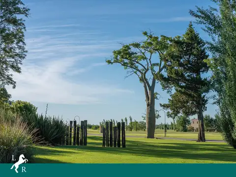 Terreno en Venta 50  mts Fondo