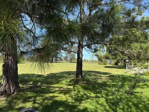 Ruta 6, km 100