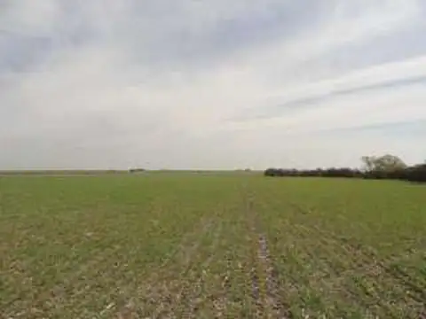 Campo en Venta de 187  ha