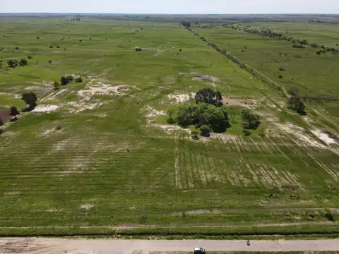 Venta Campo 100 hectáreas