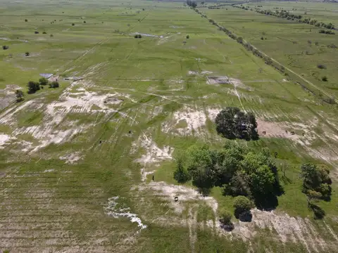 Florencio Parravacini