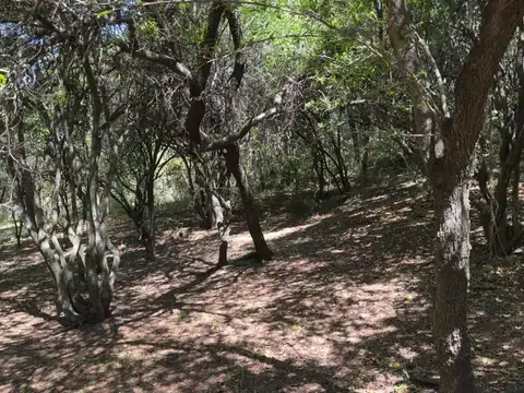 Terreno en Venta en Villa Los Altos, USD 50.000