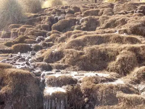 FINCA EN VENTA RUTA PROVINCIAL 33 CACHI