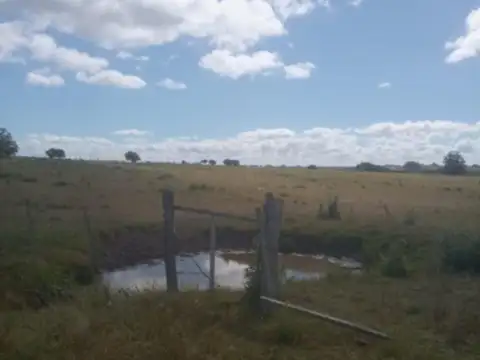 Chacra en venta 12 hectáreas en Corte de la Leña — con opción de fraccionamiento. Uruguay