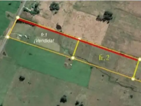 Chacra en venta 12 hectáreas en Corte de la Leña — con opción de fraccionamiento. Uruguay