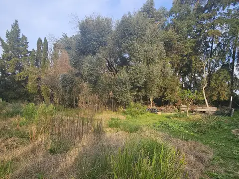 Terreno en Venta 30  mts Frente