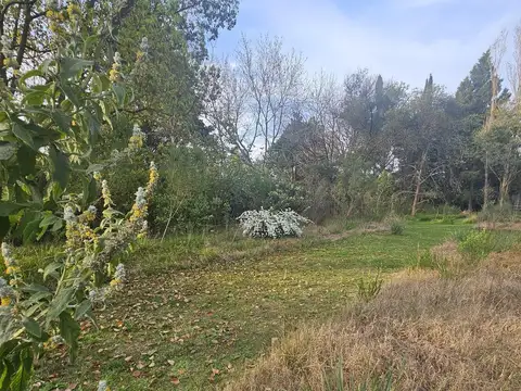 Terreno en Venta 41  mts Fondo
