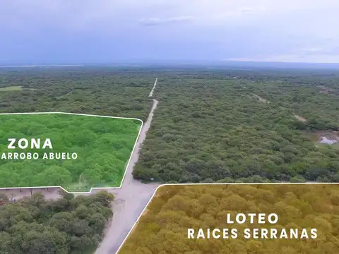 Terreno en Venta, FOT 40