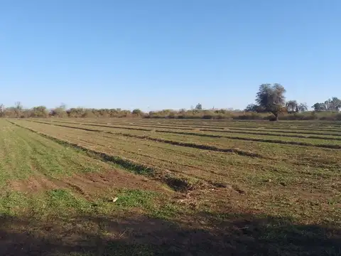 VENTA DE CAMPO 78 HAS EN VILLA DEL SOTO CORDOBA