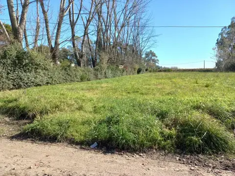Rio Arrecifes 100