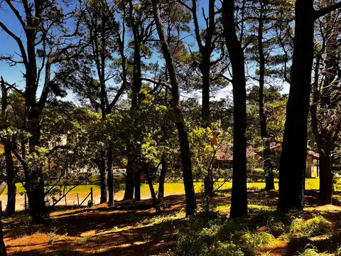 Terreno en Venta de 483,0 m2