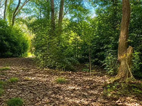Viví la experiencia de despertar cada día rodeado de naturaleza, aire puro y la serenidad