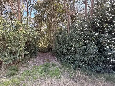 Viví la experiencia de despertar cada día rodeado de naturaleza, aire puro y la serenidad