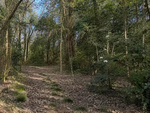 LA ARAUCARIA | LOTE PREMIUM DE 1.824 m²