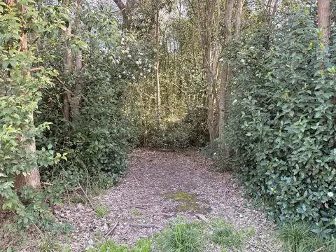 Terreno en Venta 41  mts Fondo