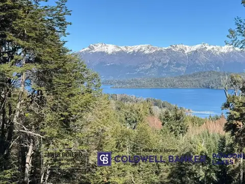 Ruta 40