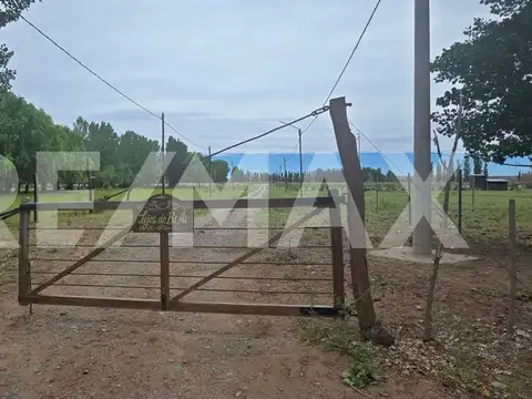 LOTE DE 2.500 M2 - LEJOS DE BS AS - SENILLOSA