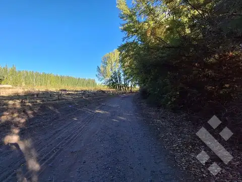 En Venta Chacra de 65 Has, Isla Adelina, Centenario Neuquén.