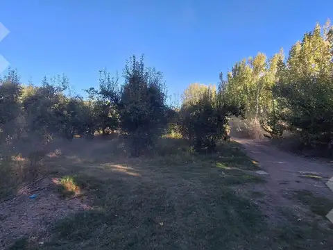 En Venta Chacra de 65 Has, Isla Adelina, Centenario Neuquén.