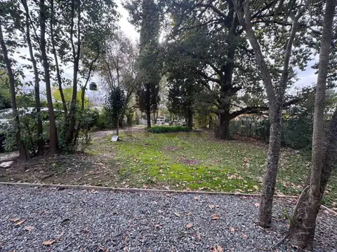 Belgrano 1200, Piso 0