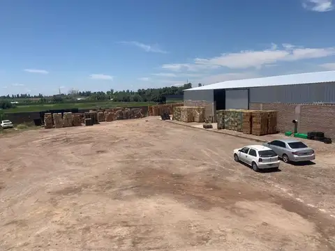 Juan Isidro Maza 3700