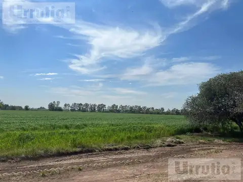 ESPECTACULAR FRACCION PARA DESARROLLO INMOBILIARIO