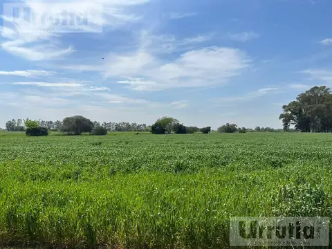Ruta 3 cañuelas