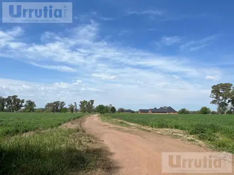 Ruta 3 cañuelas