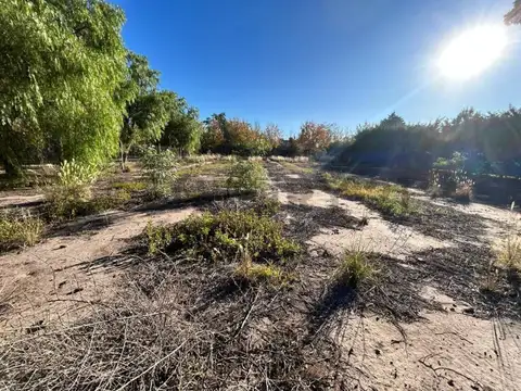 Maza y Ruta 60