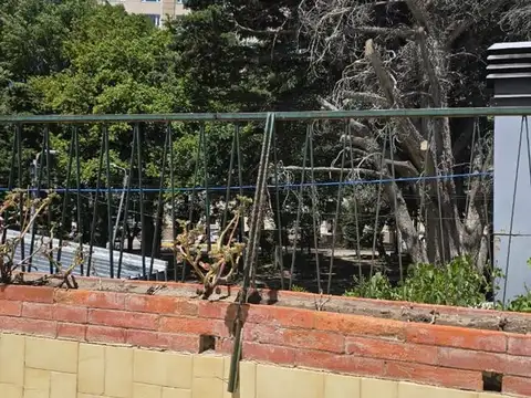 DEPTO 3 AMBIENTES - PLENO CENTRO CON TERRAZA