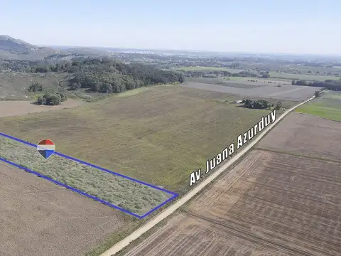 4 Has en Tandil (La Vaguada) VENTA O PERMUTA