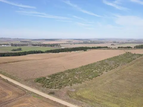 4 Has en Tandil (La Vaguada) VENTA O PERMUTA
