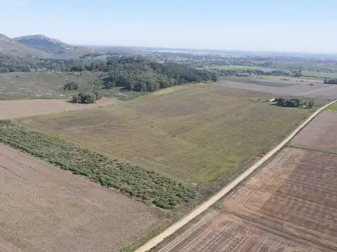 4 Has en Tandil (La Vaguada) VENTA O PERMUTA