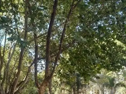 VENTA OFICINA EN SAN LUIS Y OROÑO