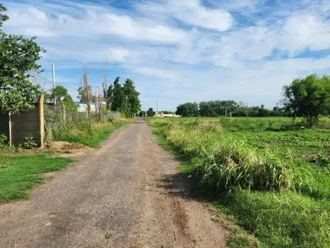 Terreno en Venta en General Lagos 518m2