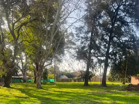 Terreno en Alquiler de 3800,0 m2