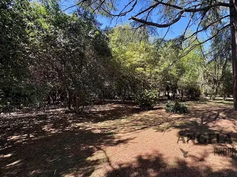 Cedro, Parque Jularo.