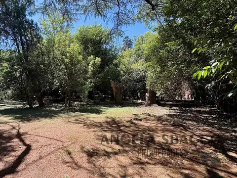 Terreno en Venta 38  mts Frente