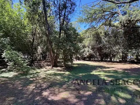 Cedro, Parque Jularo.