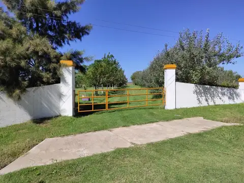 Campo - Funes