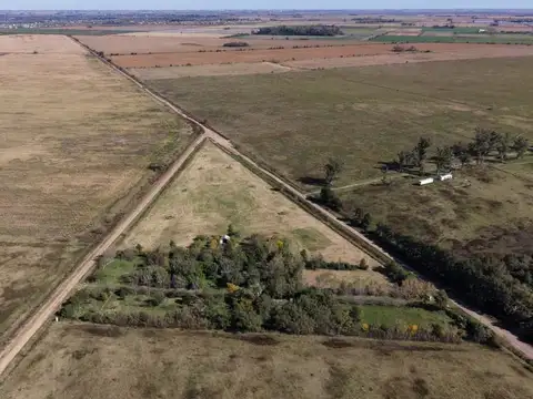 Campo - Funes