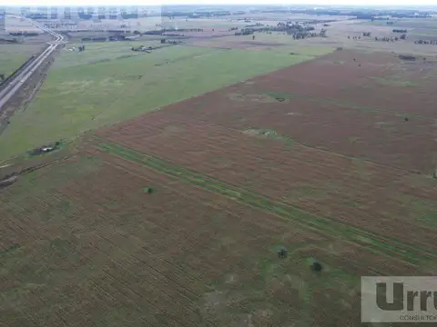 Campo - General Rodriguez