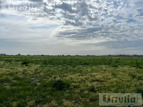 Campo - General Rodriguez