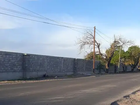 Elpidio González Guaymallén al 6100