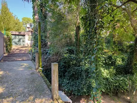 Paseo 102 1200
