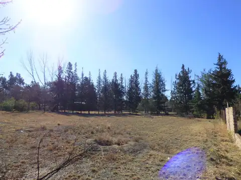 Terreno en Venta de 4267,0 m2