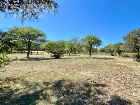 VENTA - Lote parquizado - Los Molles