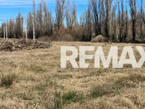 VENTA LOTE 348 M² ALLEN - RÍO NEGRO